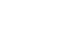 DNM Logo white short p